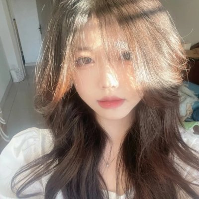 来自收容所的爱