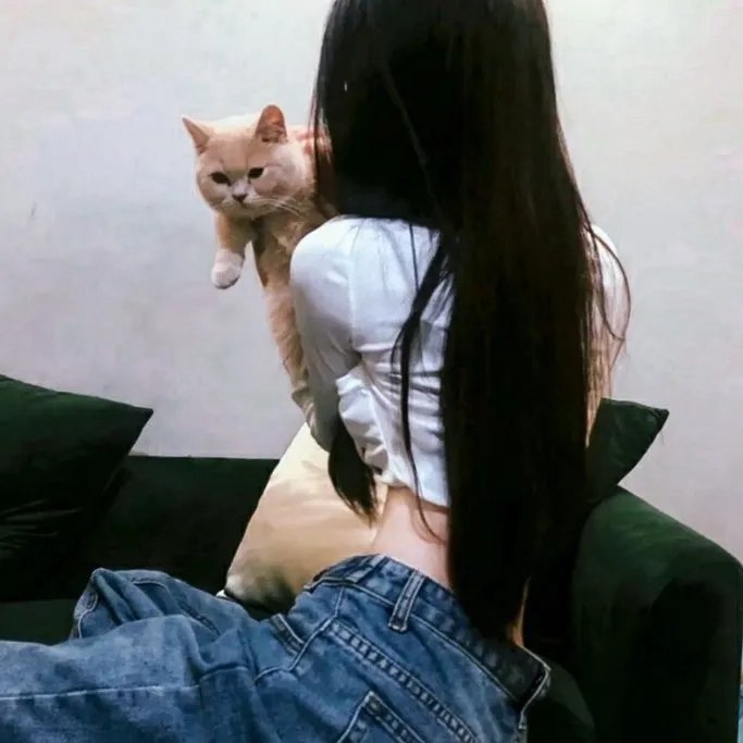超能锦衣卫·藏龙秘术